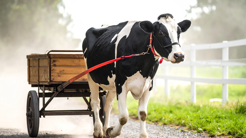 初期費用を抑え、Webの全てを定額にするイメージ