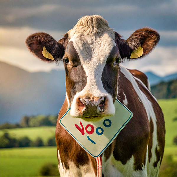 年末年始休暇のお知らせ