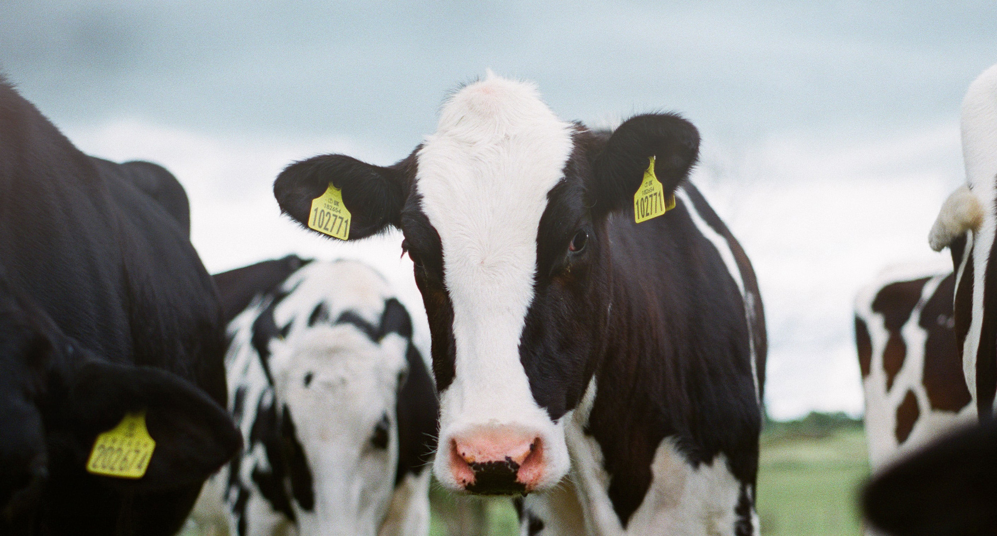 宮崎,鹿児島のホームページ制作　ACROCRAFT